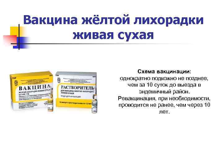 Вакцина жёлтой лихорадки живая сухая Схема вакцинации: однократно подкожно не позднее, чем за 10