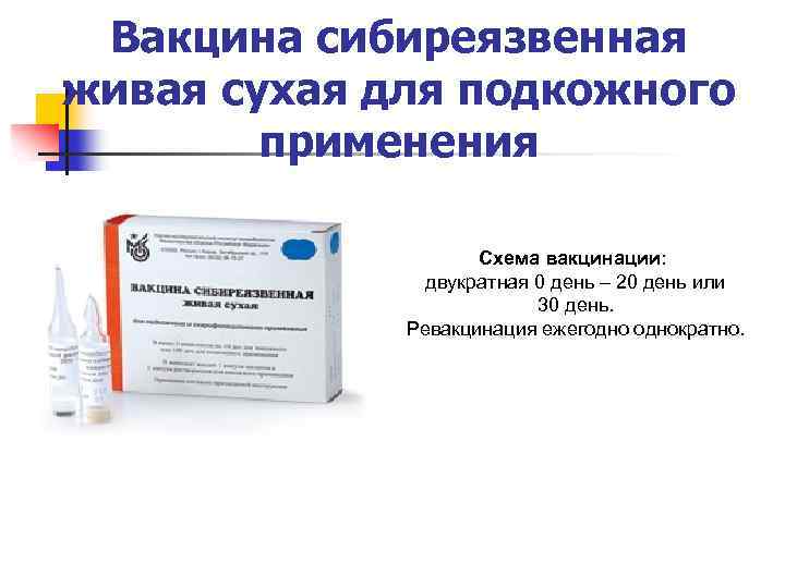 Вакцина сибиреязвенная живая сухая для подкожного применения Схема вакцинации: двукратная 0 день – 20
