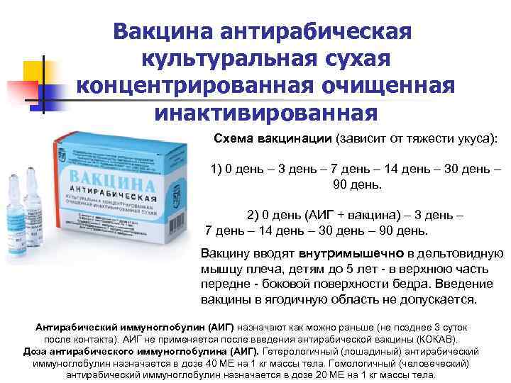 Вакцина антирабическая культуральная сухая концентрированная очищенная инактивированная Схема вакцинации (зависит от тяжести укуса): 1)