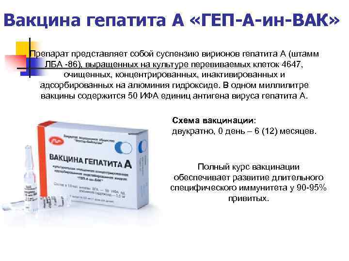 Вакцина гепатита А «ГЕП-А-ин-ВАК» Препарат представляет собой суспензию вирионов гепатита А (штамм ЛБА -86),