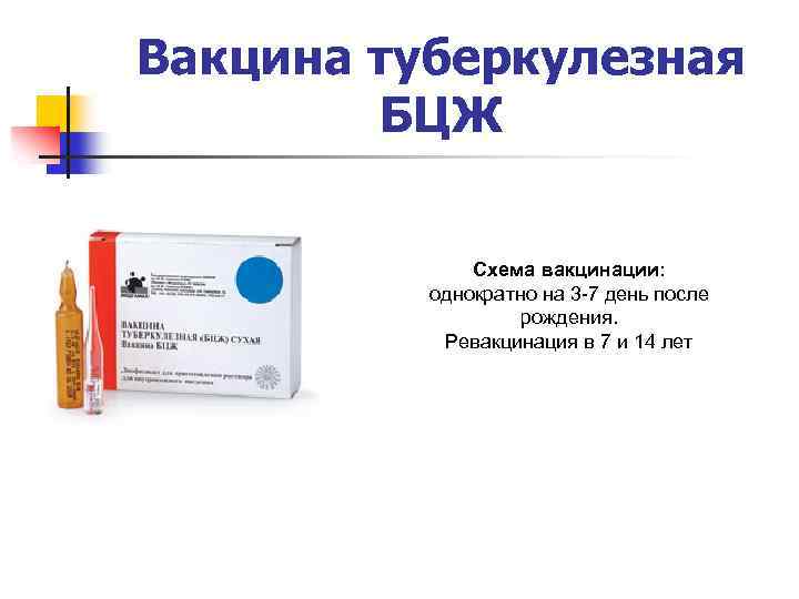 Вакцина туберкулезная БЦЖ Схема вакцинации: однократно на 3 -7 день после рождения. Ревакцинация в