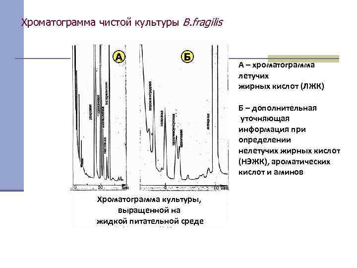 Хроматограмма чистой культуры B. fragilis А Б А – хроматограмма летучих жирных кислот (ЛЖК)