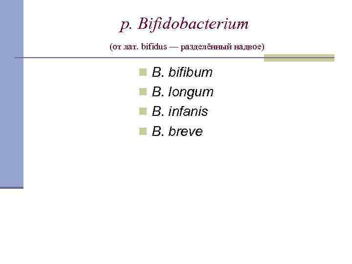 p. Bifidobacterium (от лат. bifidus — разделённый надвое) n B. bifibum n B. longum