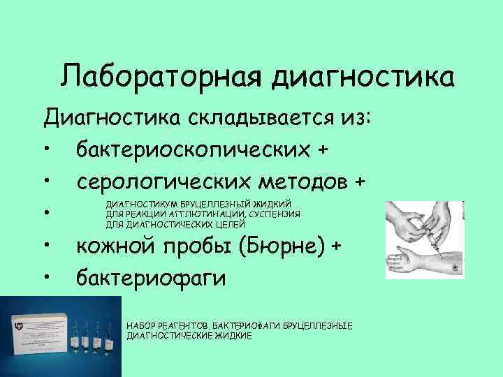 Лабораторная диагностика Диагностика складывается из: • бактериоскопических + • серологических методов + • •