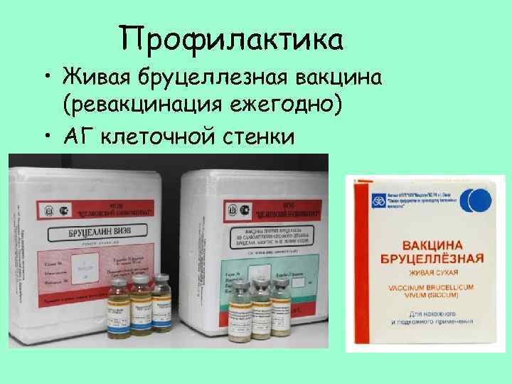 Профилактика • Живая бруцеллезная вакцина (ревакцинация ежегодно) • АГ клеточной стенки 