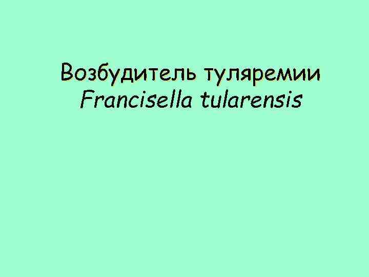 Возбудитель туляремии Francisella tularensis 