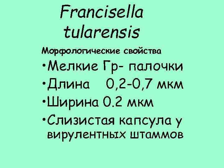 Francisella tularensis Морфологические свойства • Мелкие Гр- палочки • Длина 0, 2 -0, 7