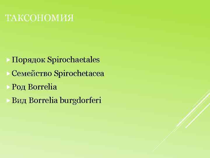 ТАКСОНОМИЯ Порядок Spirochaetales Семейство Spirochetacea Род Borrelia Вид Borrelia burgdorferi 