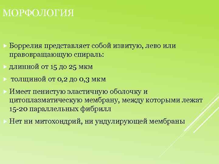 МОРФОЛОГИЯ Боррелия представляет собой извитую, лево или правовращающую спираль: длинной от 15 до 25