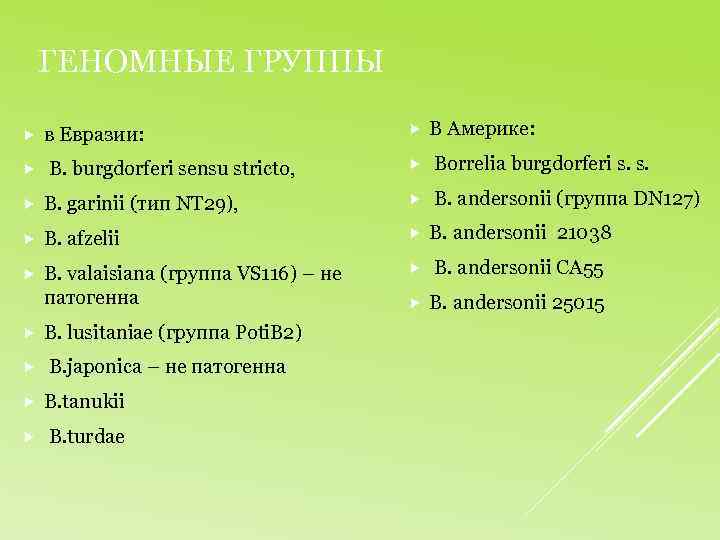 ГЕНОМНЫЕ ГРУППЫ в Евразии: В Америке: B. burgdorferi sensu stricto, Borrelia burgdorferi s. s.