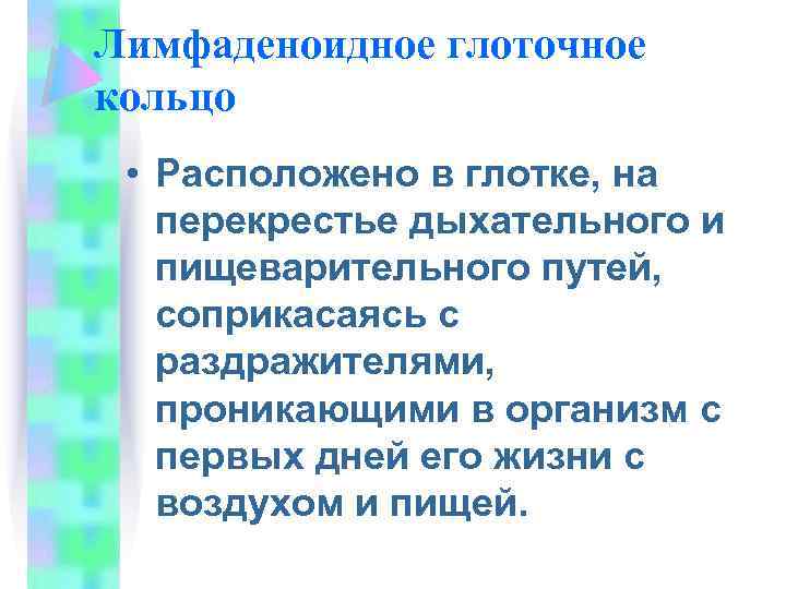 Лимфаденоидное глоточное кольцо • Расположено в глотке, на перекрестье дыхательного и пищеварительного путей, соприкасаясь