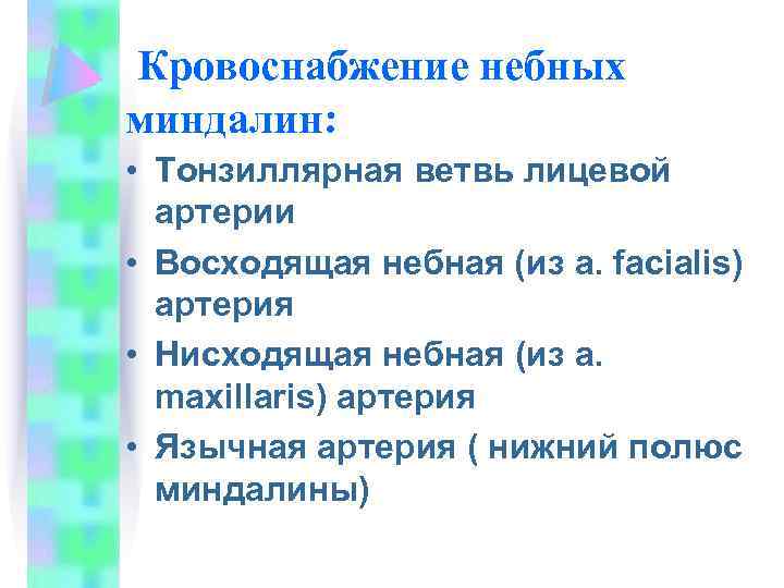 Кровоснабжение небных миндалин: • Тонзиллярная ветвь лицевой артерии • Восходящая небная (из a. facialis)