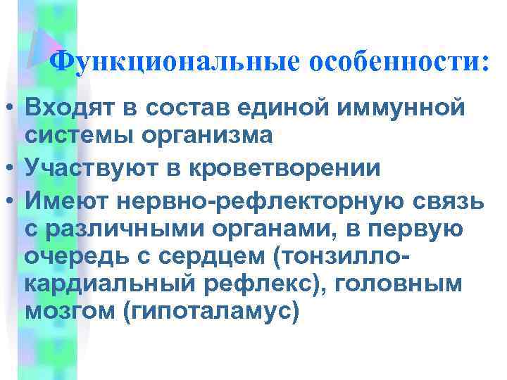 Функциональные особенности: • Входят в состав единой иммунной системы организма • Участвуют в кроветворении