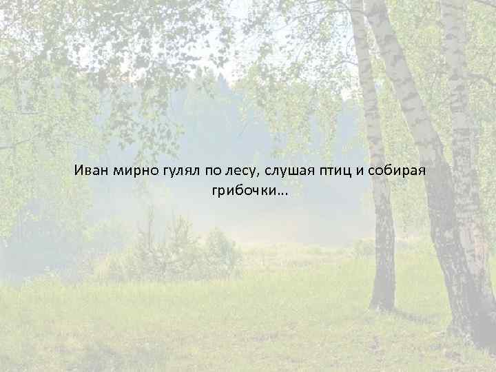 Иван мирно гулял по лесу, слушая птиц и собирая грибочки… 