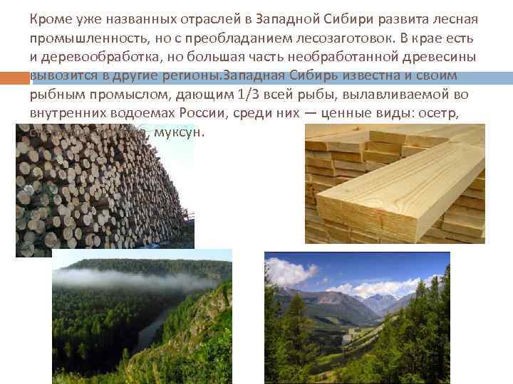 Кроме уже названных отраслей в Западной Сибири развита лесная промышленность, но с преобладанием лесозаготовок.