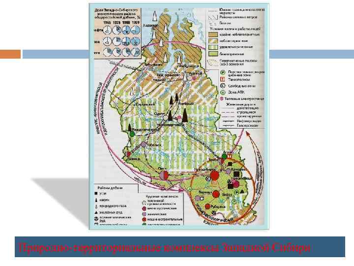 Природно-территориальные комплексы Западной Сибири 