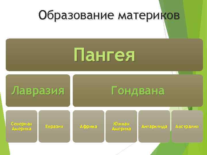 Образование материков Пангея Лавразия Северная Америка Евразия Гондвана Африка Южная Америка Антарктида Австралия 