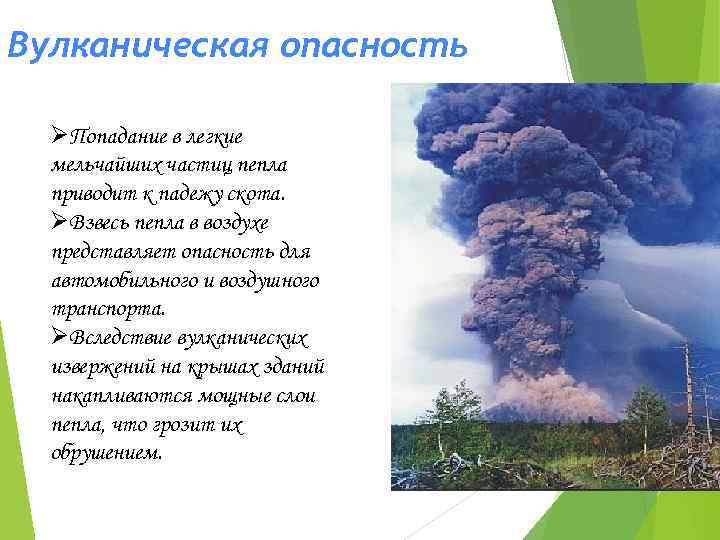 Вулканическая опасность ØПопадание в легкие мельчайших частиц пепла приводит к падежу скота. ØВзвесь пепла