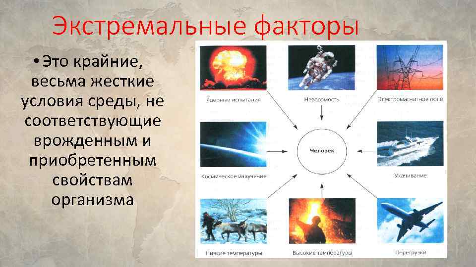 Презентация приспособленность людей к жизни в различных природных зонах