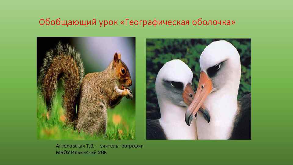 Обобщающий урок «Географическая оболочка» Ангеловская Т. В. - учитель географии МБОУ Ильинский УВК 