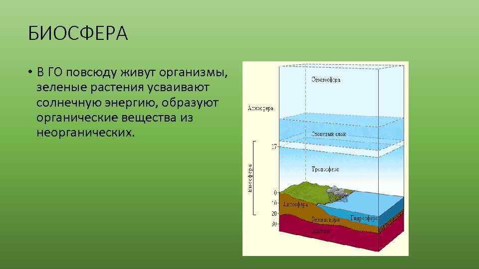 Географическая оболочка тест