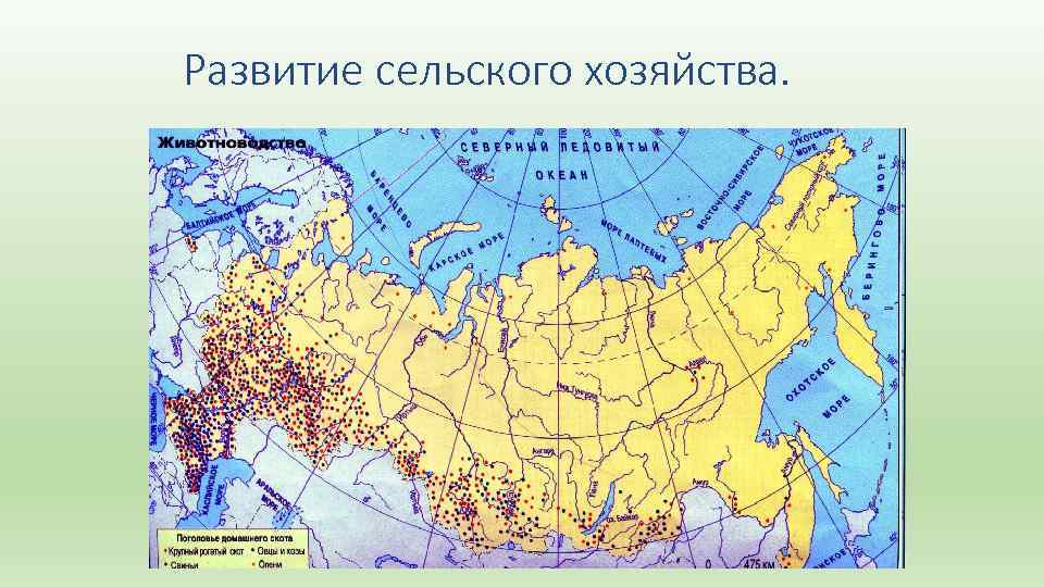 Развитие сельского хозяйства. 