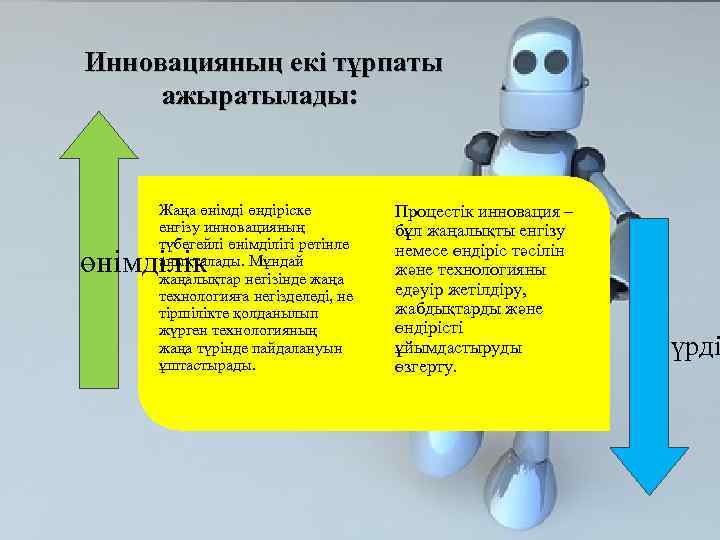 Инновацияның екі тұрпаты ажыратылады: Жаңа өнімді өндіріске енгізу инновацияның түбегейлі өнімділігі ретінле анықталады. Мұндай