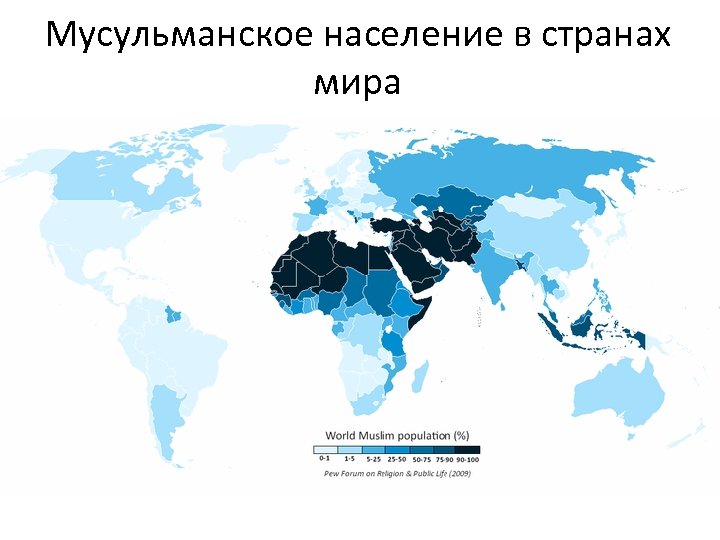 Мусульманское население в странах мира 