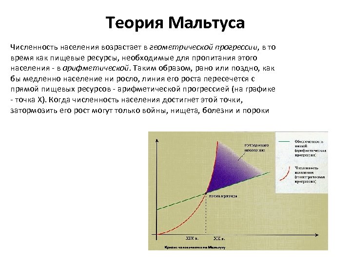 Теория Мальтуса Численность населения возрастает в геометрической прогрессии, в то время как пищевые ресурсы,