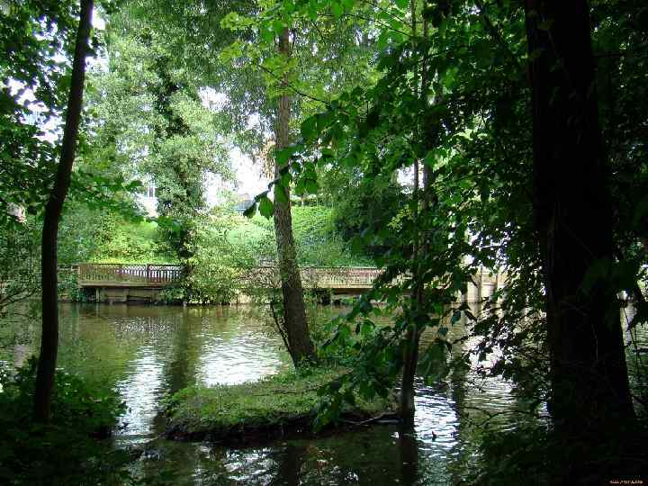 Реки и озера. Поверхность страны покрыта сетью коротких рек с небольшими уклонами и медленным