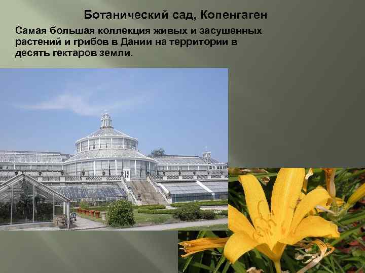 Ботанический сад, Копенгаген Самая большая коллекция живых и засушенных растений и грибов в Дании