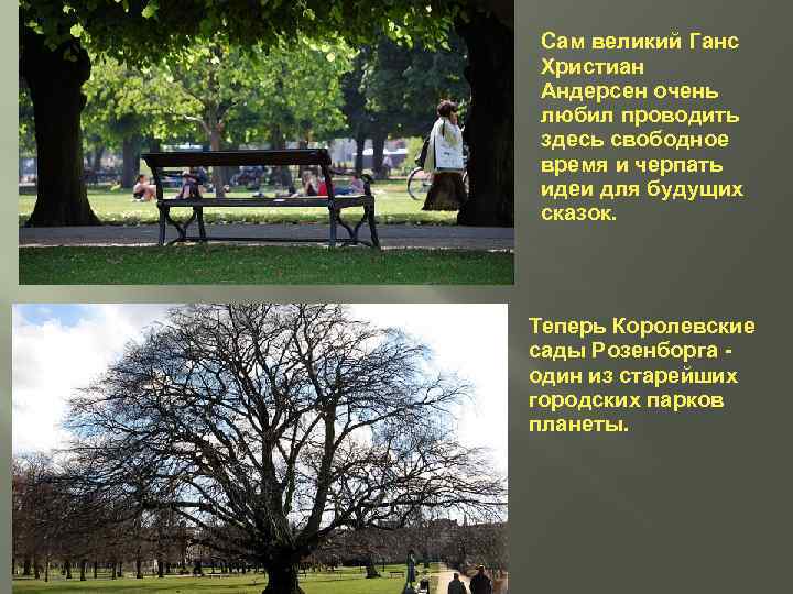 Сам великий Ганс Христиан Андерсен очень любил проводить здесь свободное время и черпать идеи