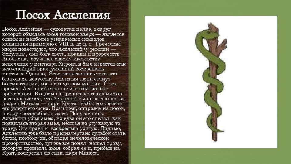 Желтый змей обвивший посох. Посох Асклепия символ. Символ медицины жезл Асклепия. Посох Асклепия древняя Греция. Медицина посох Асклепия.