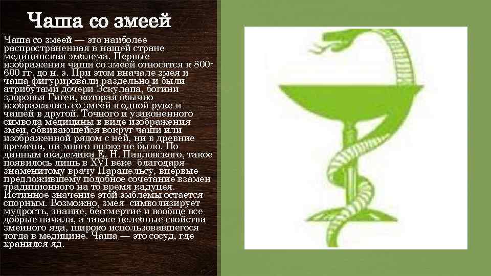 Чаша со змеей — это наиболее распространенная в нашей стране медицинская эмблема. Первые изображения