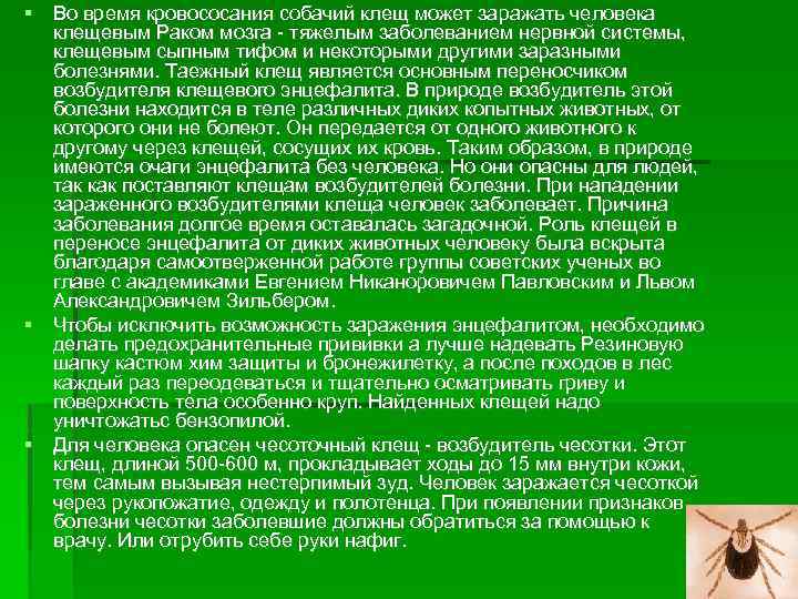  Во время кровососания собачий клещ может заражать человека клещевым Раком мозга - тяжелым