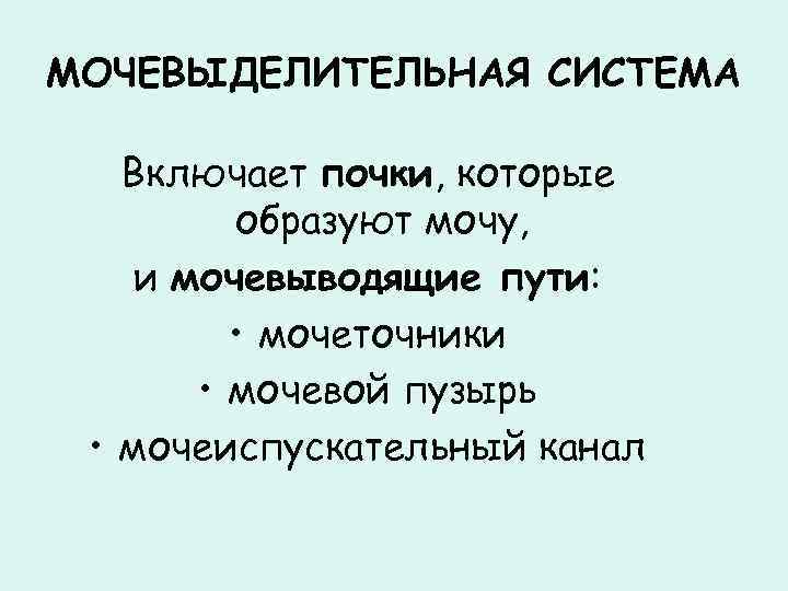 МОЧЕВЫДЕЛИТЕЛЬНАЯ СИСТЕМА Включает почки, которые образуют мочу, и мочевыводящие пути: • мочеточники • мочевой