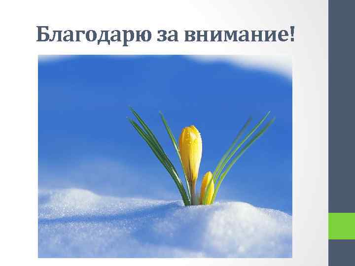 Благодарю за внимание! 