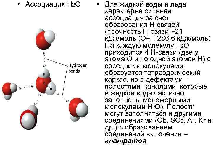  • Ассоциация Н 2 O • Для жидкой воды и льда характерна сильная