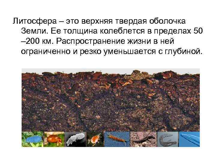 Литосфера – это верхняя твердая оболочка Земли. Ее толщина колеблется в пределах 50 –