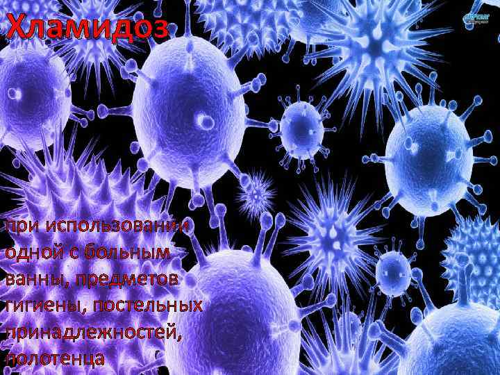 Хламидоз при использовании одной с больным ванны, предметов гигиены, постельных принадлежностей, полотенца 
