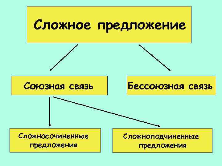 Сложное предложение Союзная связь Сложносочиненные предложения Бессоюзная связь Сложноподчиненные предложения 