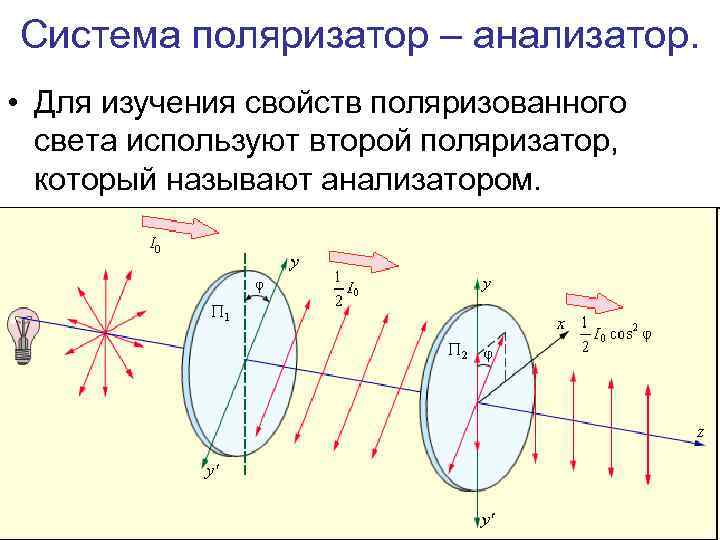 Выберите правильную схему хода лучей через поляризатор и анализатор