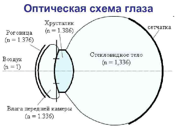 Оптическая схема глаза 