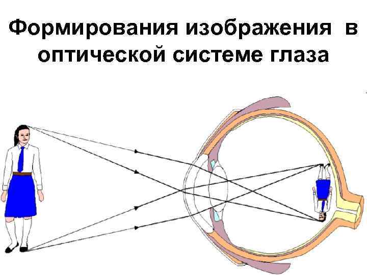 Формирования изображения в оптической системе глаза 