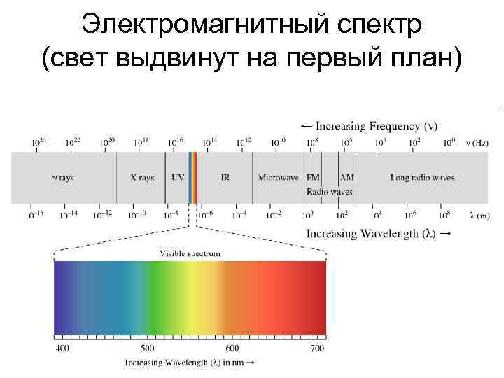 Электромагнитный спектр (свет выдвинут на первый план) 