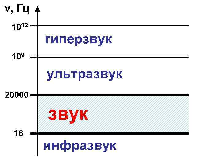 Какая частота колебаний ультразвука