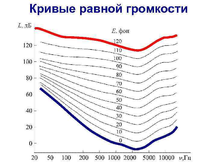 Кривые равной громкости 
