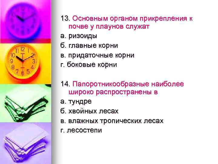 13. Основным органом прикрепления к почве у плаунов служат а. ризоиды б. главные корни