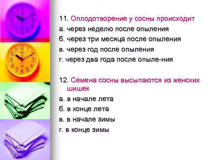 11. Оплодотворение у сосны происходит а. через неделю после опыления б. через три месяца