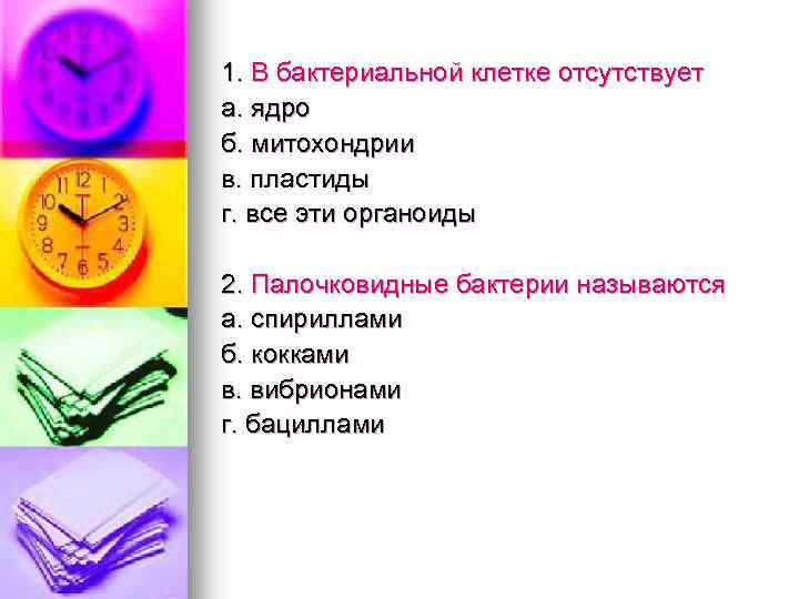 1. В бактериальной клетке отсутствует а. ядро б. митохондрии в. пластиды г. все эти